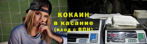 гидра Новозыбков