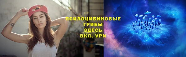 таблы Новодвинск