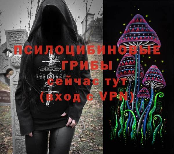 таблы Новодвинск