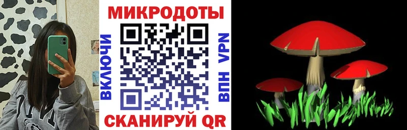 Галлюциногенные грибы мицелий  где найти наркотики  Североморск 